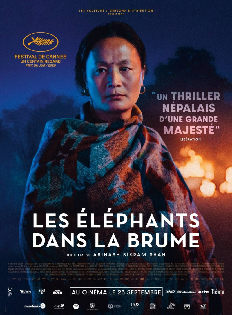 Affiche du film &laquo; LES ELEPHANTS DANS LA BRUME &raquo;